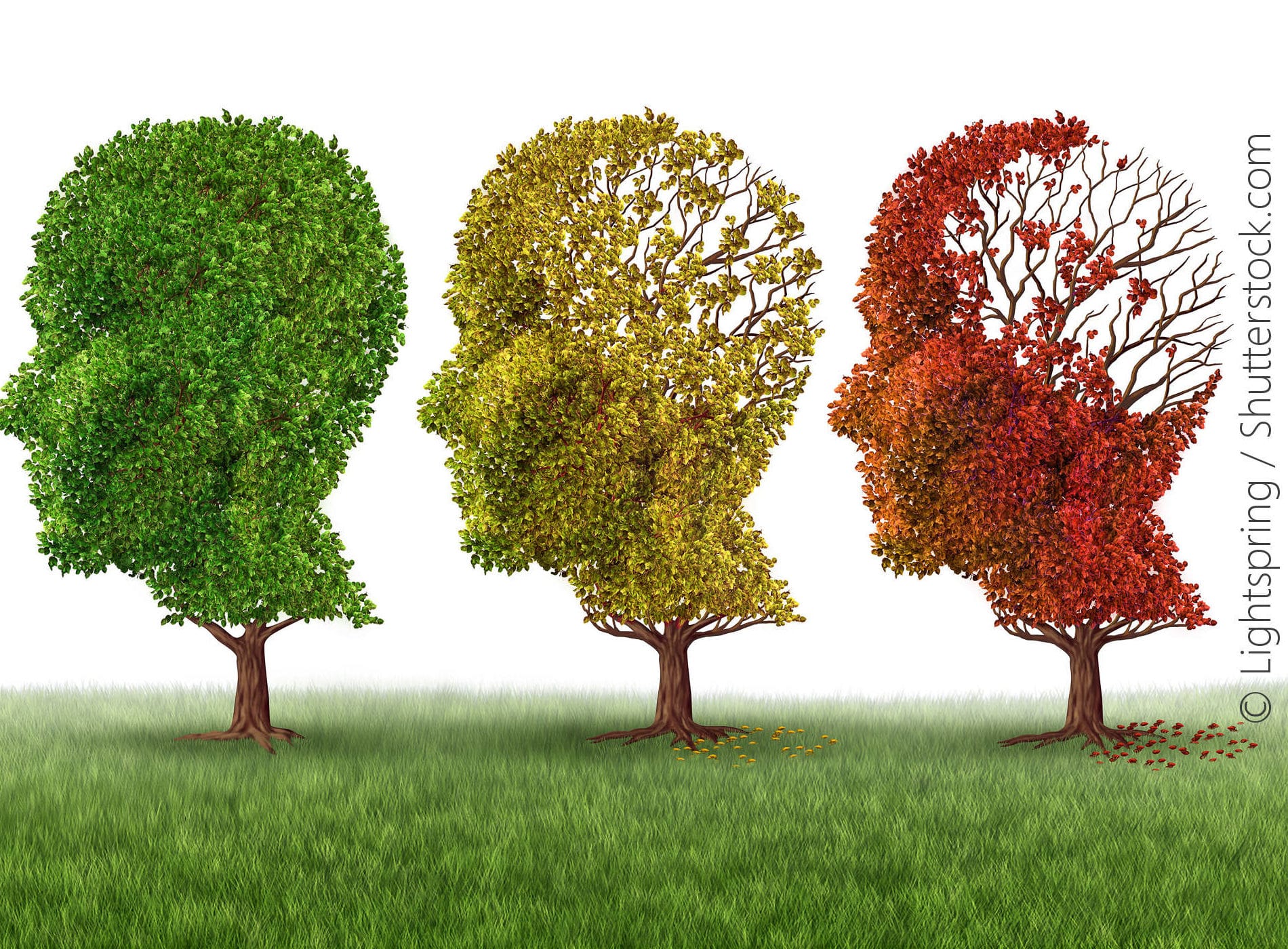 Medizinische Fachangestellte