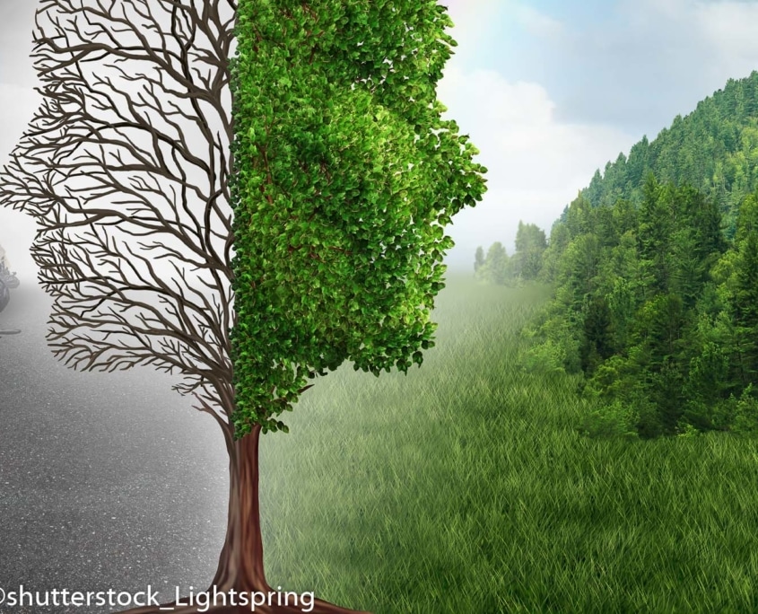 Medizinische Fachangestellte